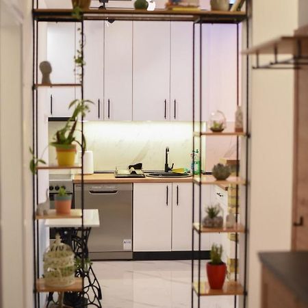 Garden Apartment - Oaza U Centru Grada Nowy Sad Zewnętrze zdjęcie