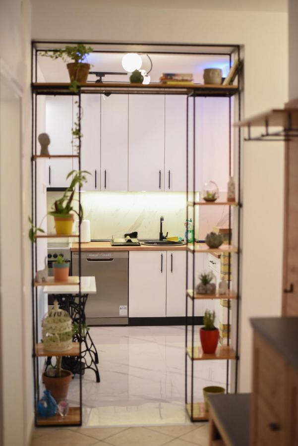 Garden Apartment - Oaza U Centru Grada Nowy Sad Zewnętrze zdjęcie