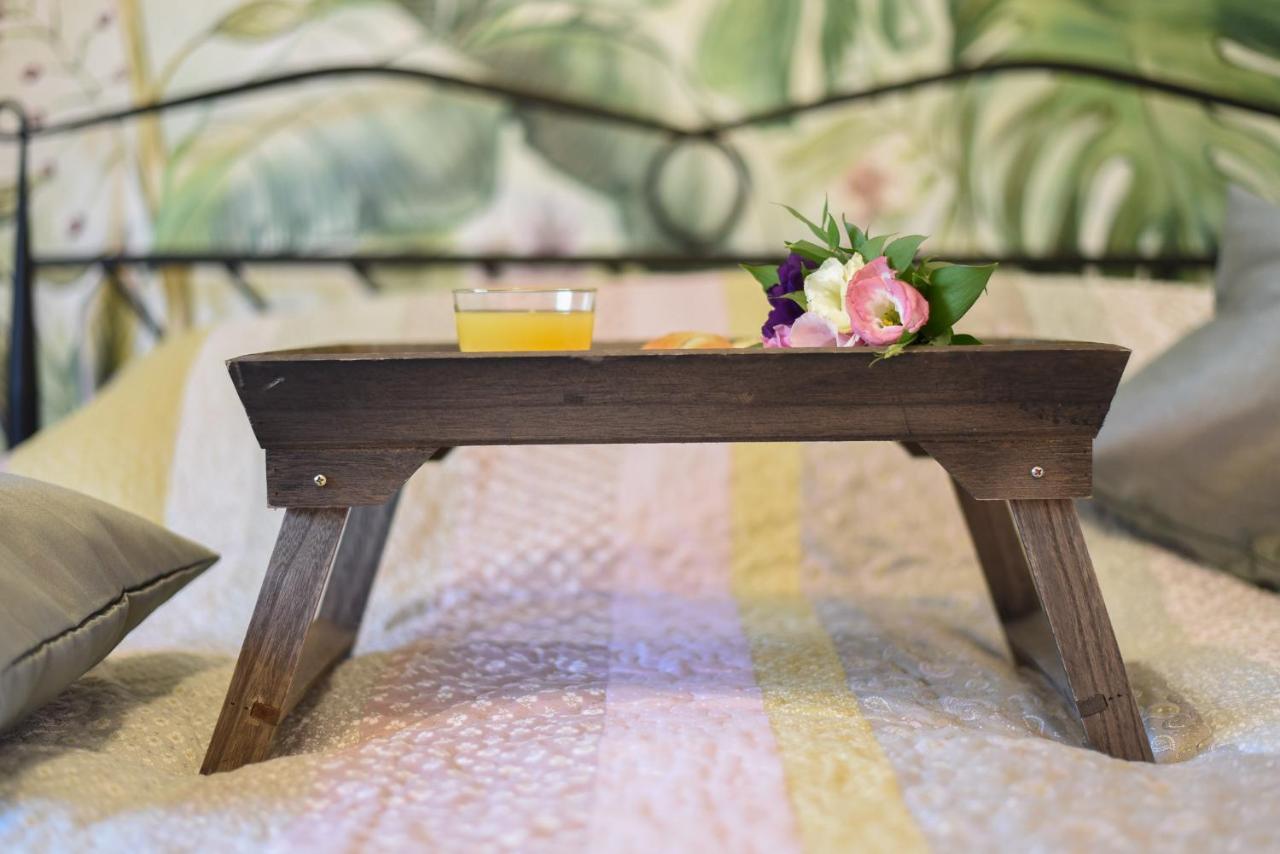 Garden Apartment - Oaza U Centru Grada Nowy Sad Zewnętrze zdjęcie