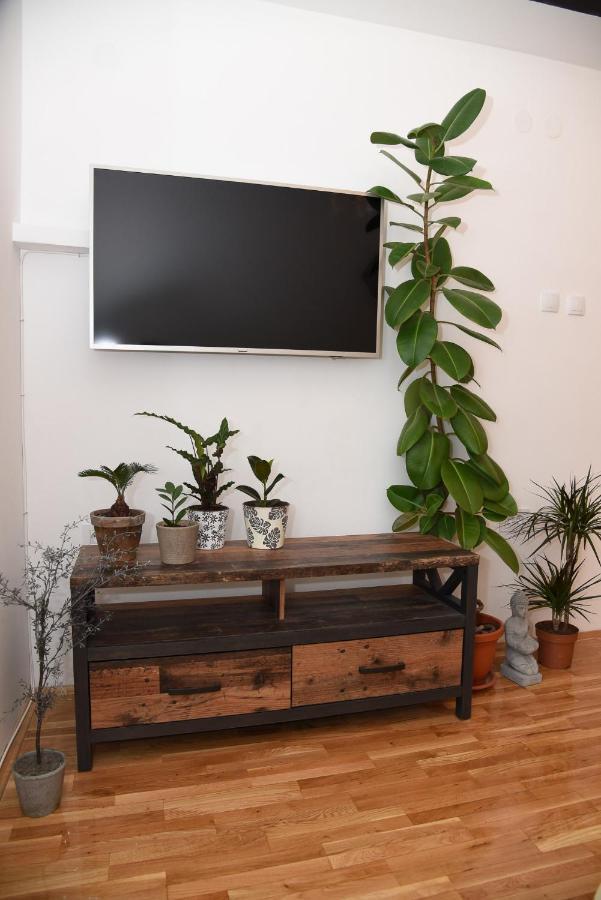 Garden Apartment - Oaza U Centru Grada Nowy Sad Zewnętrze zdjęcie