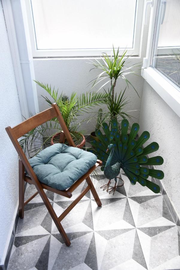 Garden Apartment - Oaza U Centru Grada Nowy Sad Zewnętrze zdjęcie